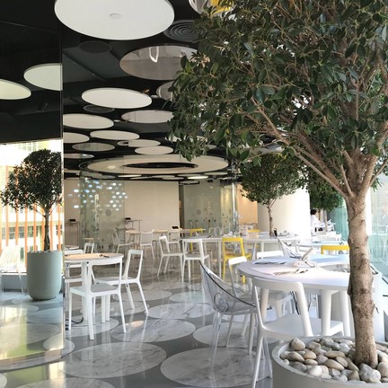 My Kitchen Siam Discovery