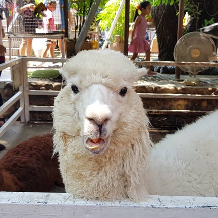 ตลาดน้ำขวัญ-เรียม