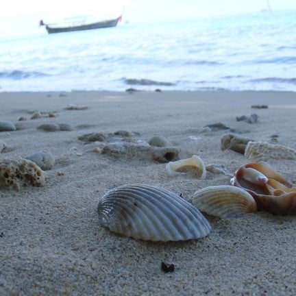 หาดอ่าวนาง