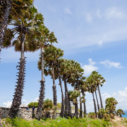 แหลมพรหมเทพ