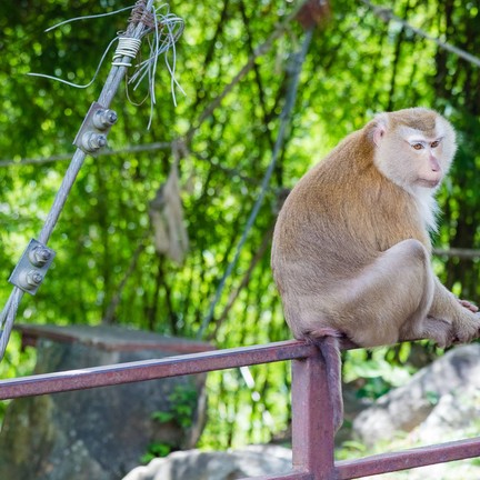 จุดชมวิวเขาโต๊ะแซะ