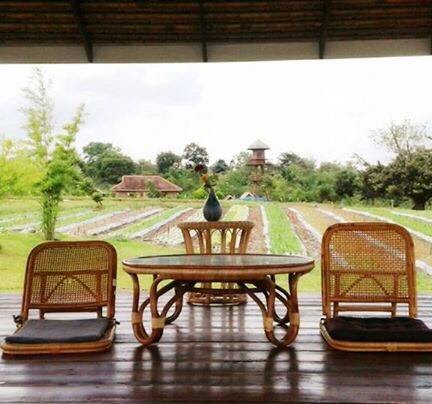 Coolliving Farmhouse organic วังนำ้เขียว