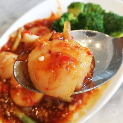 หอยเชลล์อาหย่อยๆ แนะนำเลย