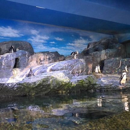 Sea Life Bangkok Ocean World