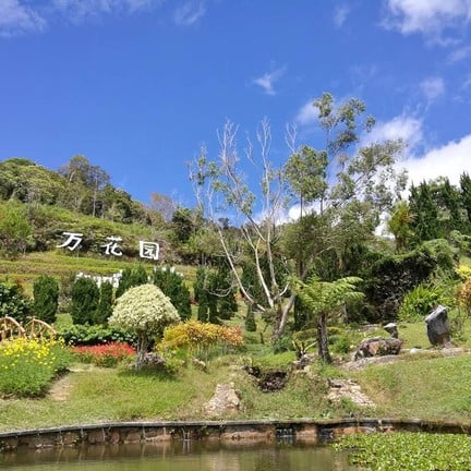 สวนดอกไม้เมืองหนาวเบตง