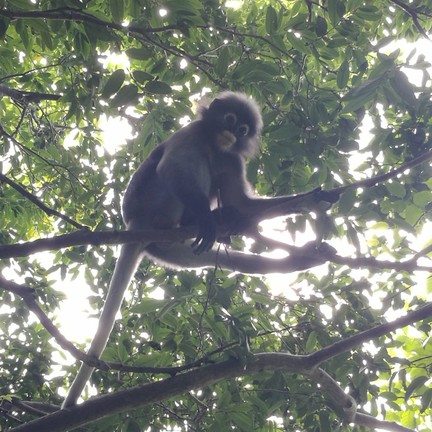 วนอุทยานเขานางพันธุรัต