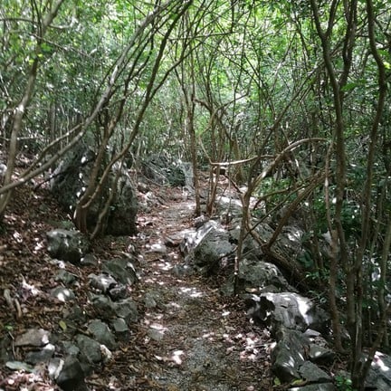 วนอุทยานเขานางพันธุรัต