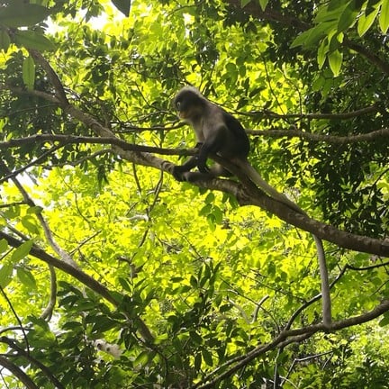 วนอุทยานเขานางพันธุรัต