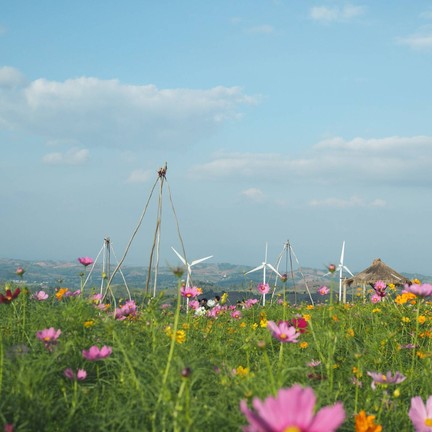 ทุ่งกังหันลม เขาค้อ