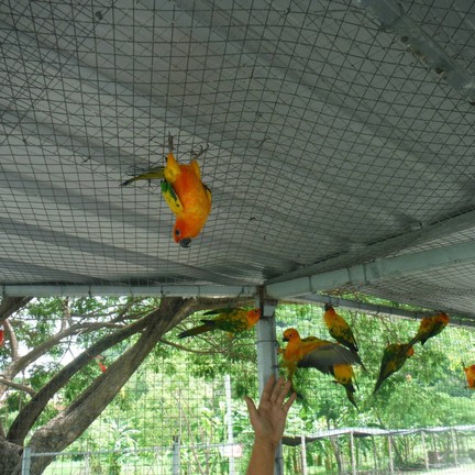 มาลัยฟาร์ม ชะอำ