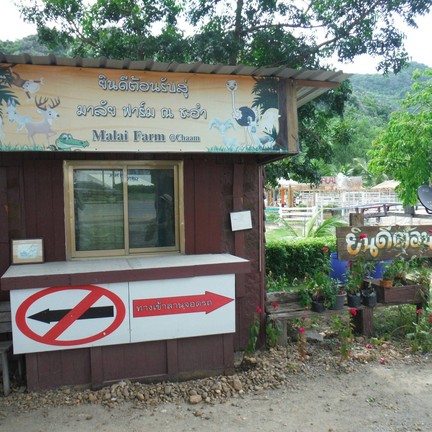 มาลัยฟาร์ม ชะอำ