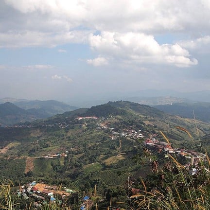 ดอยแม่สลอง