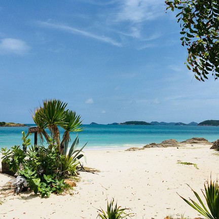 เกาะแสมสาร