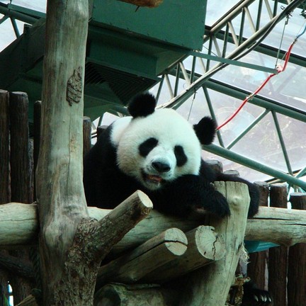 สวนสัตว์เชียงใหม่