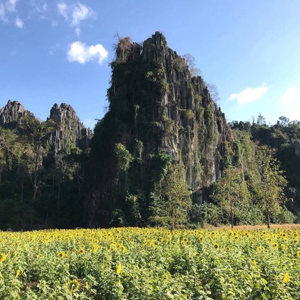 บ้านมุง