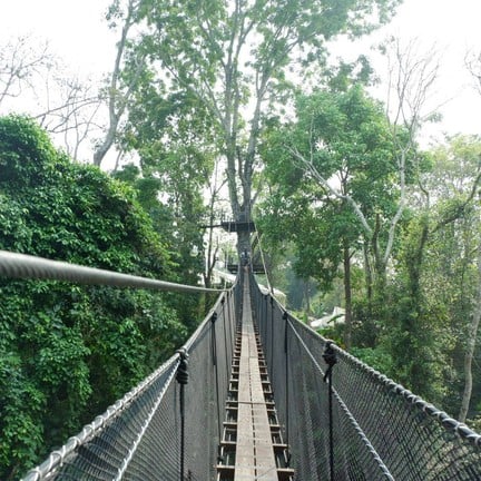 สวนแม่ฟ้าหลวง