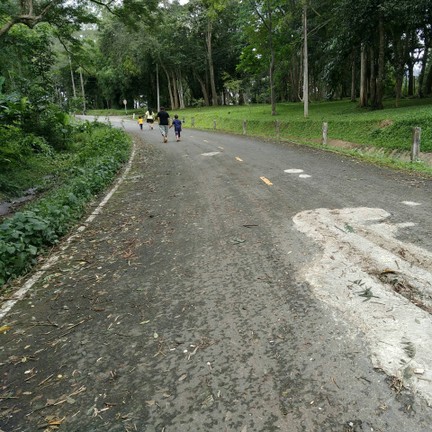 สวนสัตว์เปิดเขาค้อ