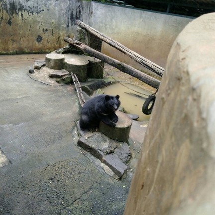 สวนสัตว์เปิดเขาค้อ