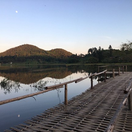 ไร่เชิญตะวัน