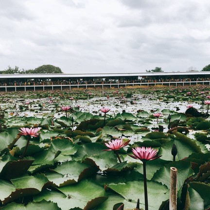 ตลาดน้ำทุ่งบัวแดง ณ บางเลน