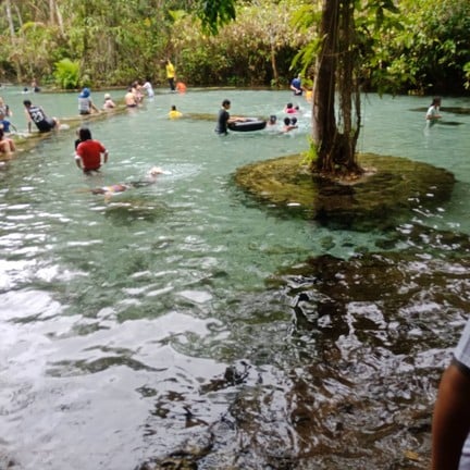 ป่าต้นน้ำบ้านน้ำราด