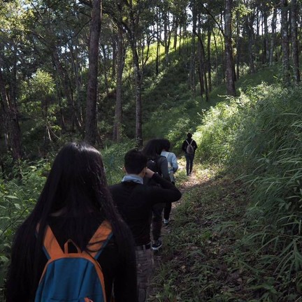 ทางเด่นหญ้าขัด