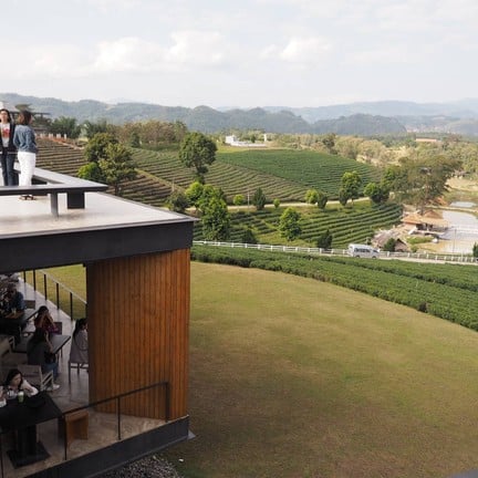 ไร่ชาฉุยฟง