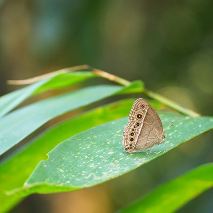 บ้านกร่างแคมป์