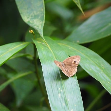 บ้านกร่างแคมป์