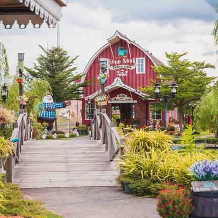 1000Sook Food and Farm