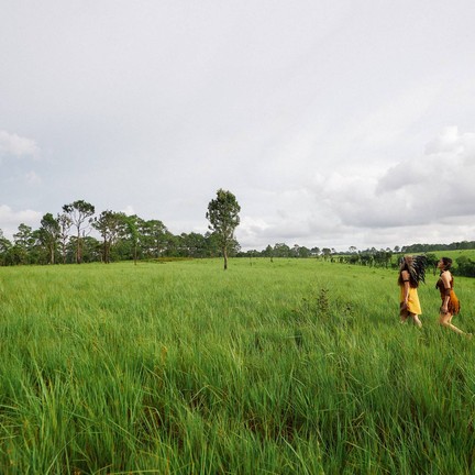 อุทยานแห่งชาติทุ่งแสลงหลวง