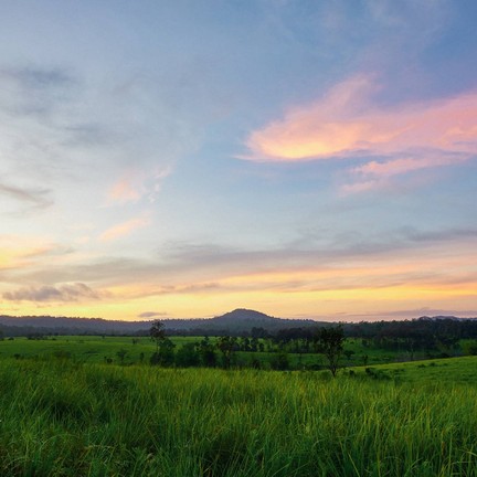 อุทยานแห่งชาติทุ่งแสลงหลวง