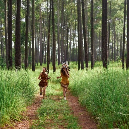 อุทยานแห่งชาติทุ่งแสลงหลวง