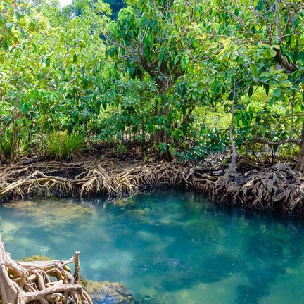 ท่าปอม คลองสองน้ำ