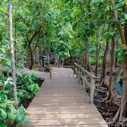 ท่าปอม คลองสองน้ำ