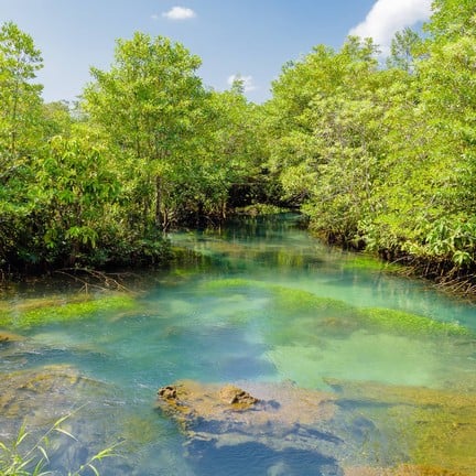 ท่าปอม คลองสองน้ำ