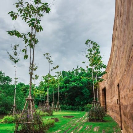 ป่าในกรุง