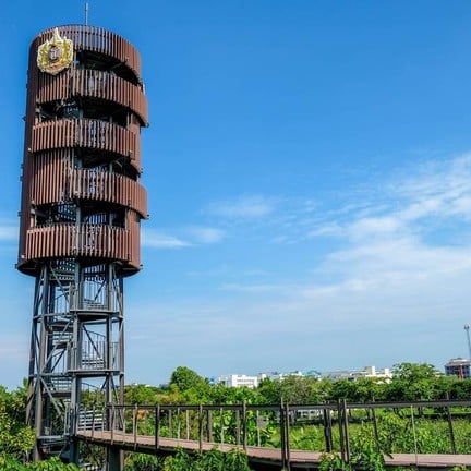 ป่าในกรุง