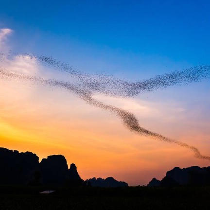 เนินมะปราง