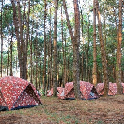 อุทยานแห่งชาติภูหินร่องกล้า