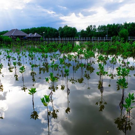 ทะเลบางขุนเทียน