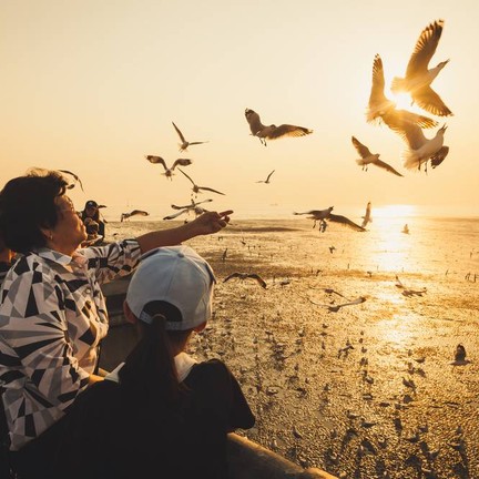 สถานตากอากาศบางปู