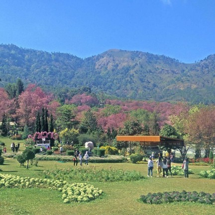 ศูนย์วิจัยเกษตรหลวงเชียงใหม่ (ขุนวาง)