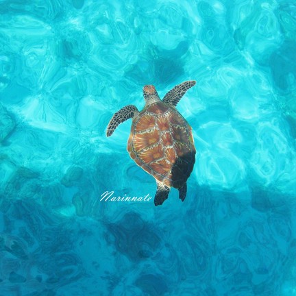 เกาะสิมิลัน