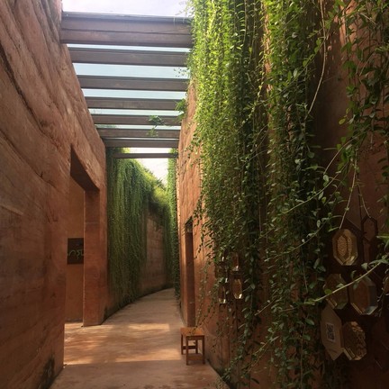 ป่าในกรุง