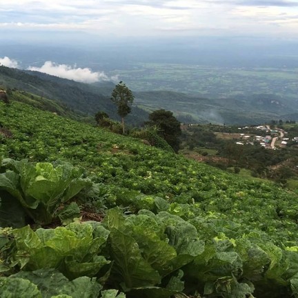 ภูทับเบิก