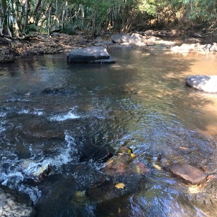 น้ำตกศรีดิษฐ์