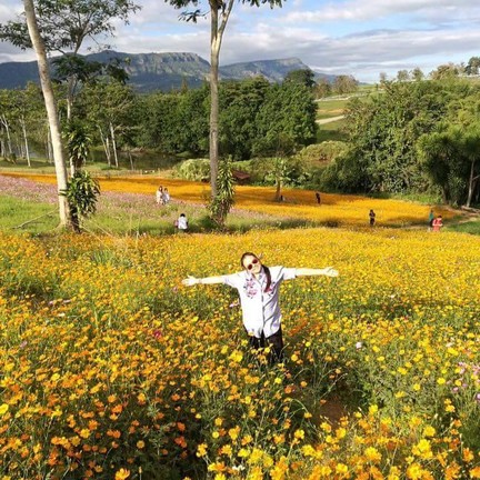 ไร่ บี.เอ็น.