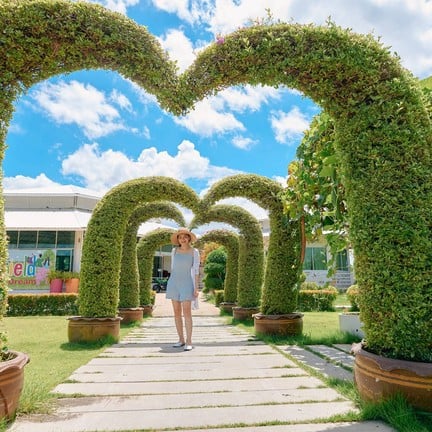 The field animals dream