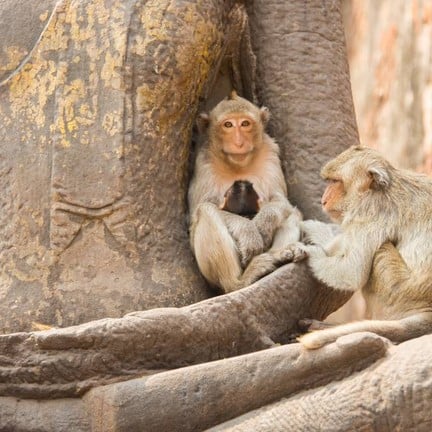 พระปรางค์สามยอด